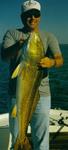 41 inch Bull Redfish (released) Soft plastics - Back lakes of San Antonio Bay